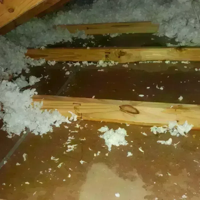 Attic Water Damage in Boone County, WV