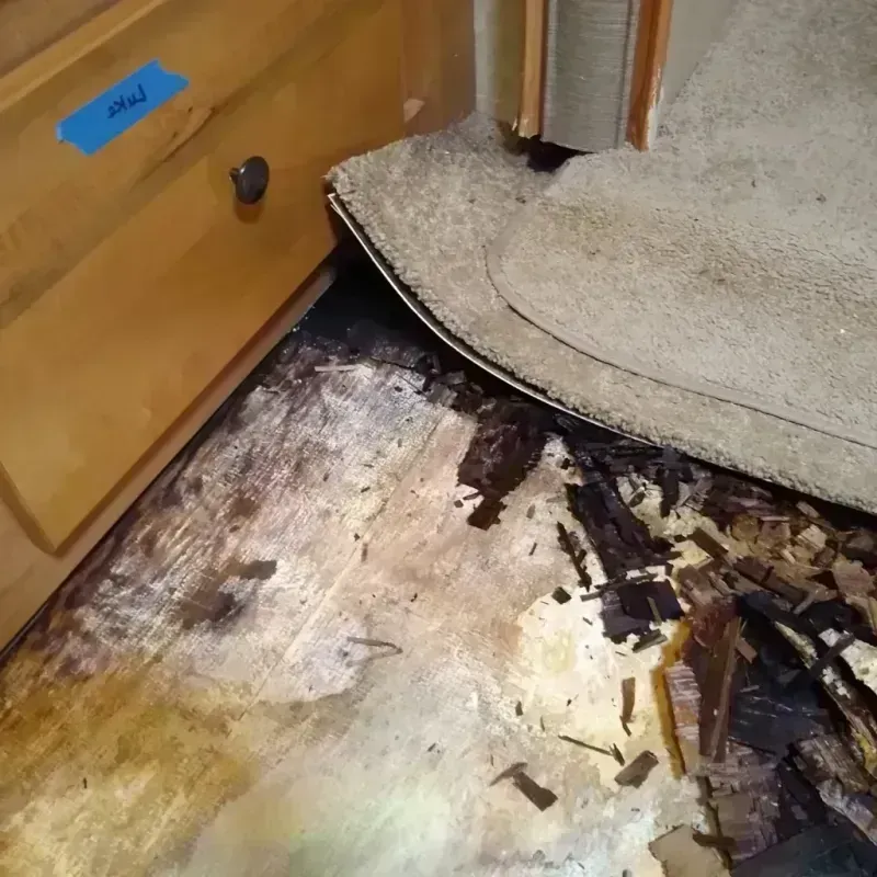 Wood Floor Water Damage in Boone County, WV